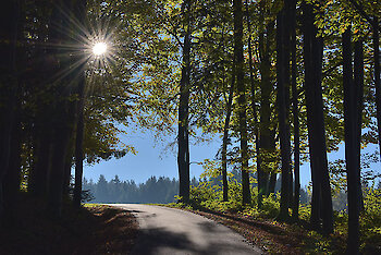 Auch Wandern ist Wellness